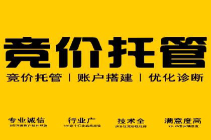 某电商平台的SEM广告投放全流程解析